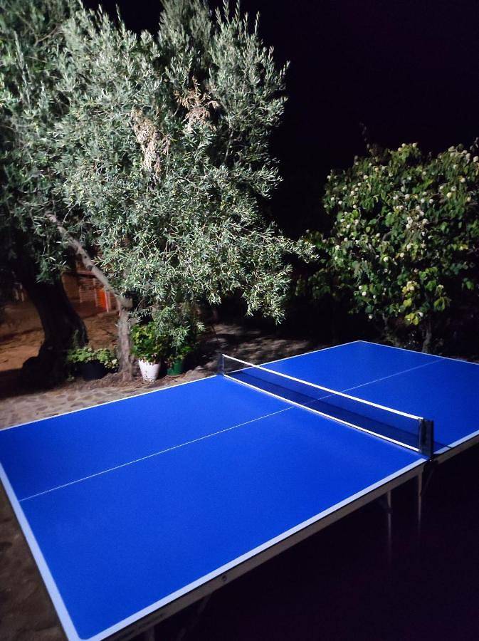 Casa de vacaciones para 8 personas, con piscina además de jardín y vistas, Familias con niños en Provincia de Ciudad Real - 4