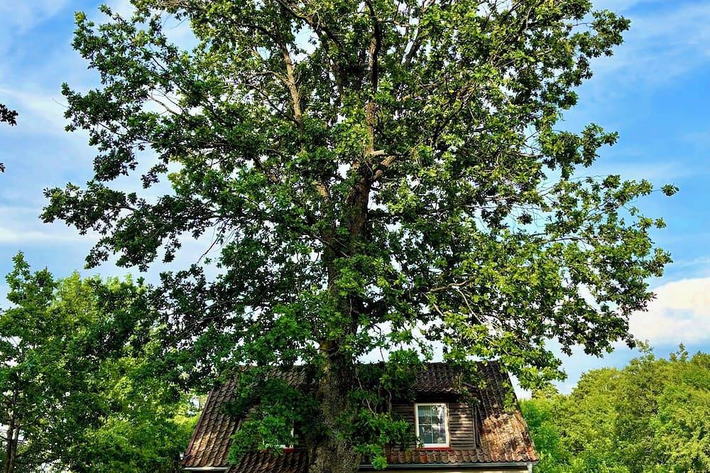 House in Masurian Lake District in Ermland-Masuren
