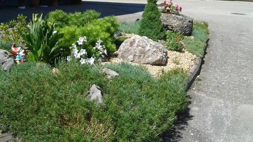 Bauernhof für 4 Personen, mit Garten im Salzburger Land - 3
