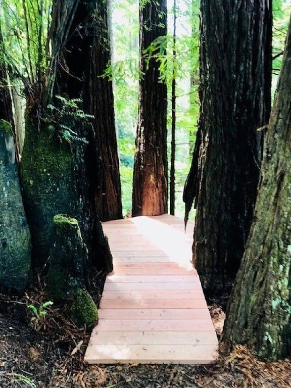 Loft for 2 Guests in Northern California, North Coast