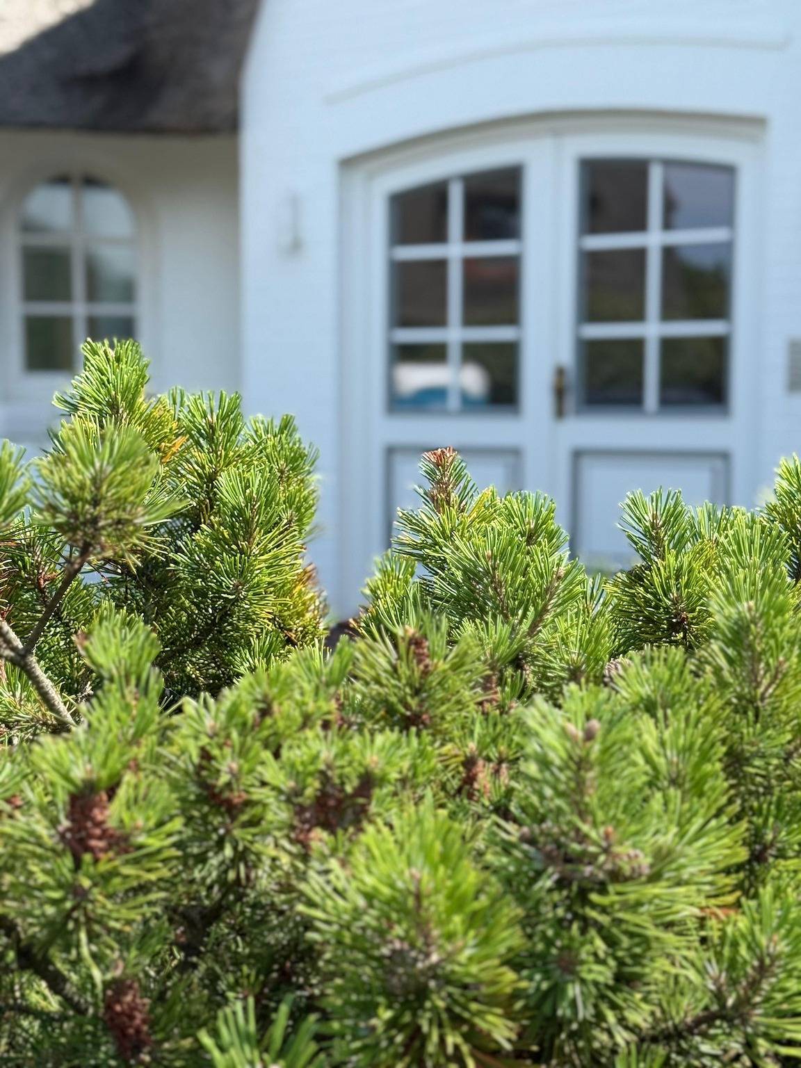 Ganze Ferienwohnung, Ocean-View Ii, Holiday Apartments Sylt in Rantum, Sylt (Gemeinde)