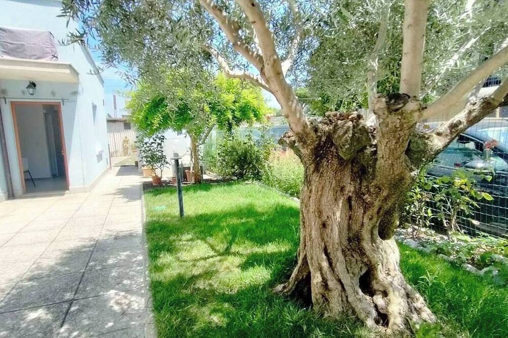 Ganze Wohnung, Casa Samy - Ein Schlafzimmer Wohnung, Schläft 3 in Rimini, Rimini Provinz