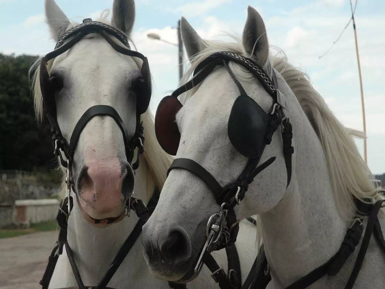 Gîte de France 5 personnes in Arelaune-en-Seine, Région de Rouen