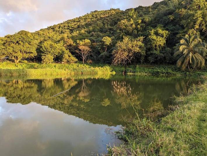 Location de vacances pour 4 personnes, avec jacuzzi ainsi que terrasse et jardin à Le Morne-Vert - 4