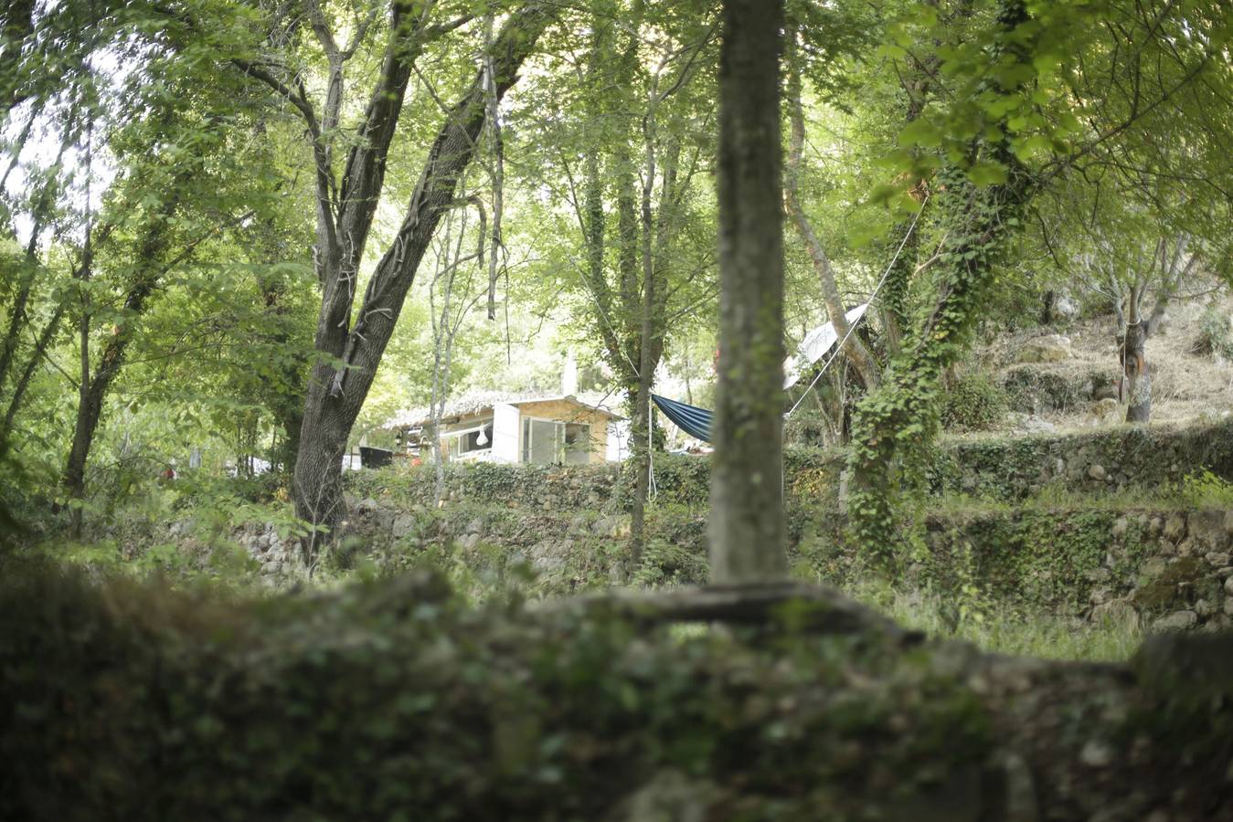 Entire vacation apartment, Tiny Home 'Terre Libre 2, Glamping' in Fayence, Draguignan region