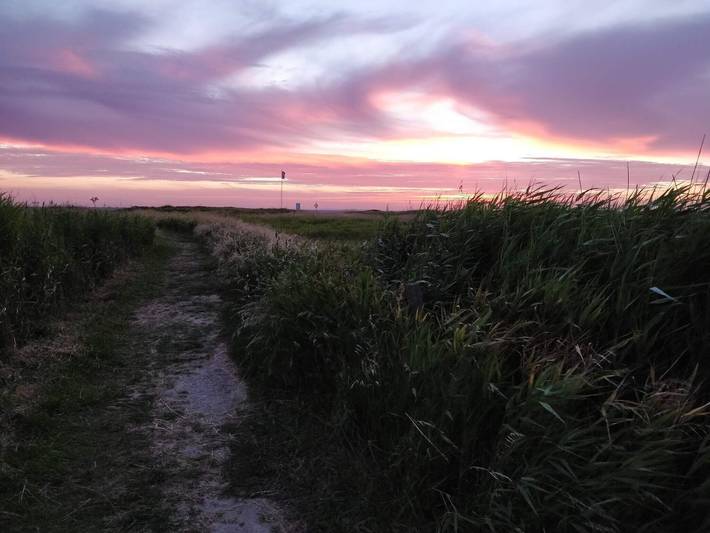 Ferienhaus für 16 Personen, mit Pool, kinderfreundlich auf Langeland - 4