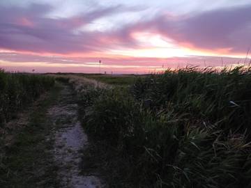 Vakantiehuis voor 16 Personen in Bagenkop, Langeland, Afbeelding 3