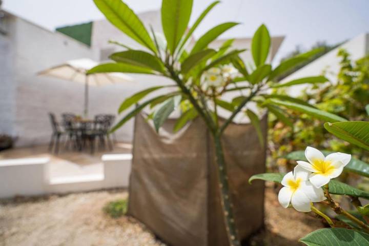 Casa rural para 6 personas, con vistas y jardín en Arico - 4