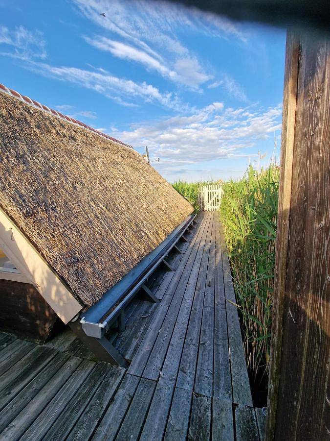 Seehütte Pfahlbau-Neusiedlersee - Waterfront 1 in Rust (Burgenland), Leithaberg