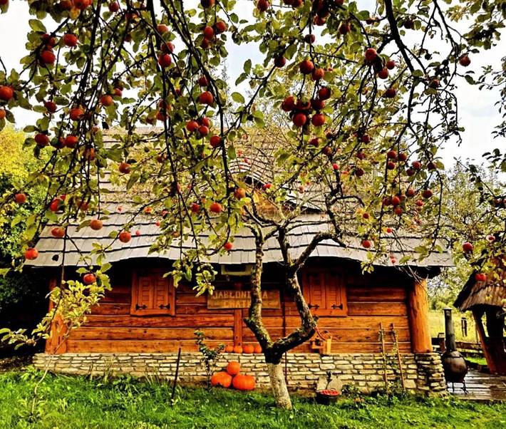Domek letniskowy dla 6 osób, z ogród i widok oraz sauna, zwierzęta dozwolone w Podkarpacie