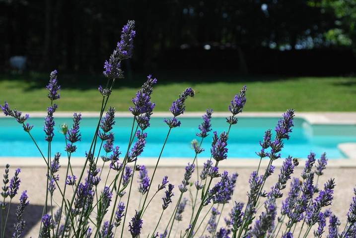Gîte pour 2 personnes, avec piscine ainsi que jardin et vue à Sainte-Nathalène - 2