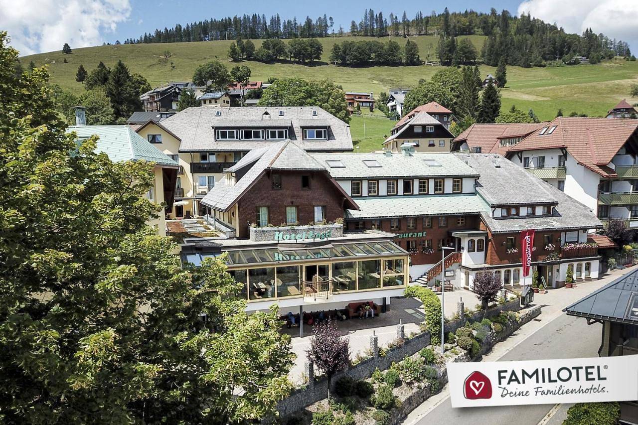 Family Suite in Todtnauberg (Todtnau), Todtnau