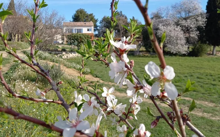 Alojamiento y desayuno para 4 personas, con jardín y vistas - 1