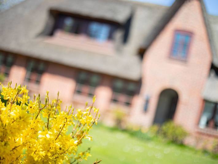 Aalernhüs - Aalernhüs - südöstliche Haushälfte eines historischen Friesenhauses in Keitum, Sylt (Gemeinde)