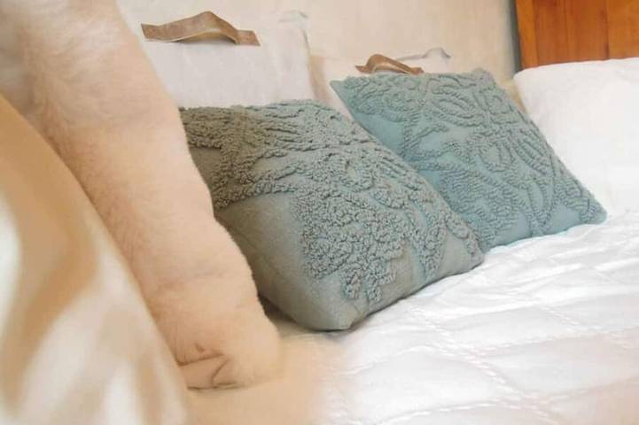 Location de vacances pour 4 personnes, avec jardin à Chelun - 2