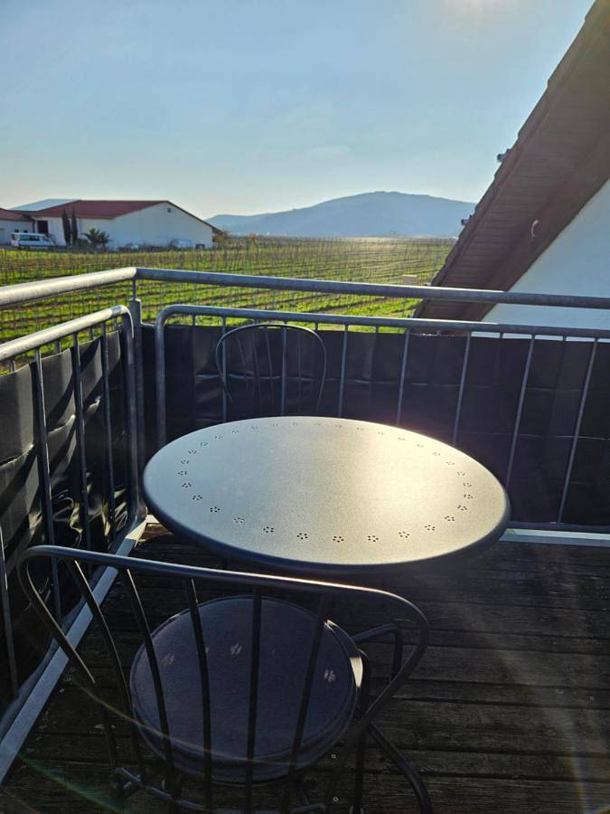Ferienwohnung für 2 Personen, mit Balkon und Ausblick in Rhodt unter Rietburg - 2