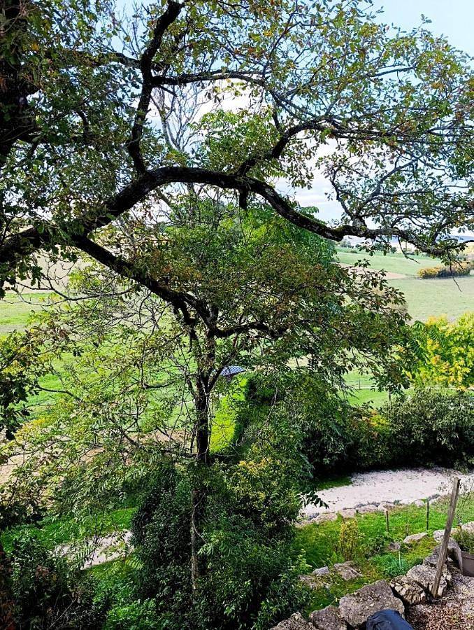Chambre d’hôte pour 2 personnes, avec piscine et jardin à Castelnau-de-Montmiral - 3
