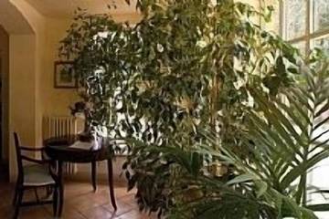 Agriturismo per 9 Persone in Peccioli, Pisa e dintorni, Foto 3