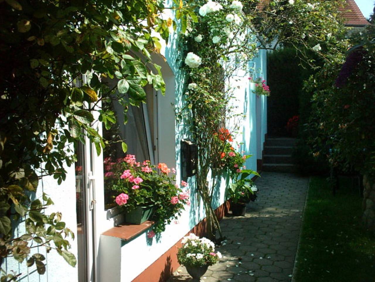Ganze Ferienwohnung, Ferienhaus & Ferienwohnung am Burgwall bei Familie Möller - Ferienwohnung in Bergen auf Rügen, Bergen auf Rügen und Umgebung