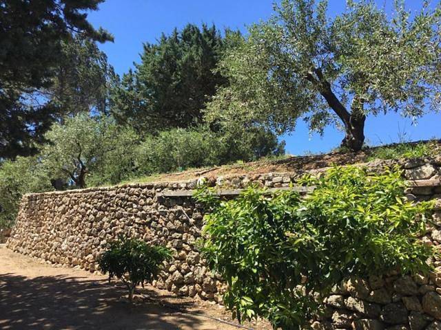 Logement Provence dans domaine oléicole in Aubagne, Côte méditerranéenne (France)