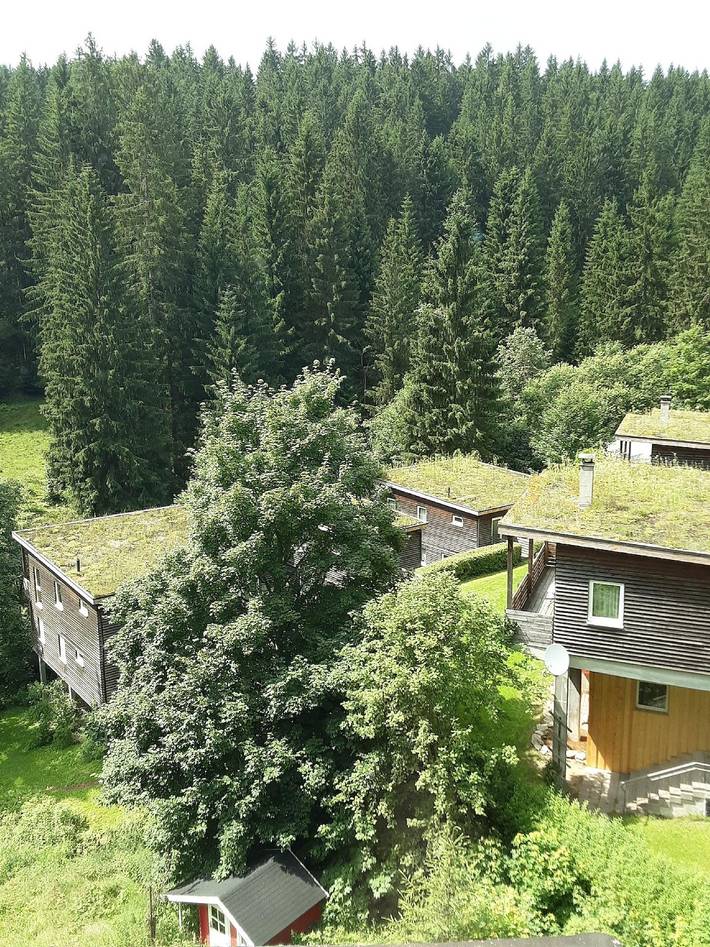 Ferienhaus für 6 Personen, mit Terrasse und Garten, mit Haustier am Rennsteig - 4