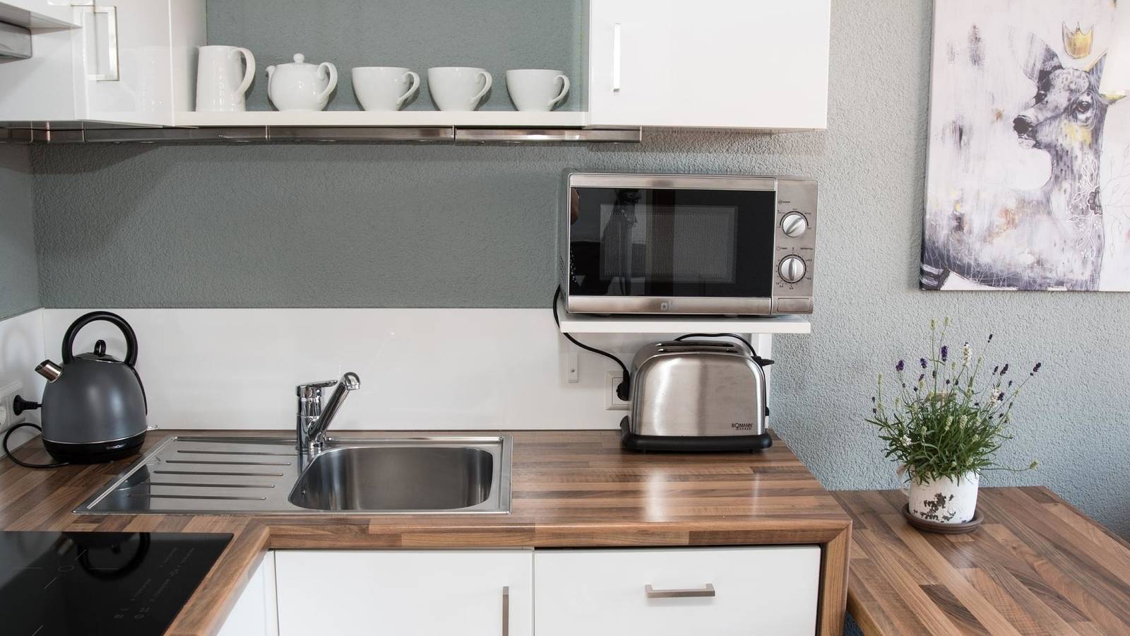 Ganze Ferienwohnung, Ferienwohnung Mirabelle - Obsthof Steffelin in Markdorf, Region Bodensee-Oberschwaben