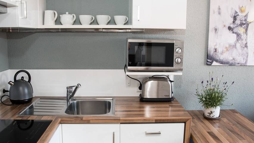 Gîte pour 4 personnes, avec terrasse et jardin, animaux acceptés à Markdorf - 3