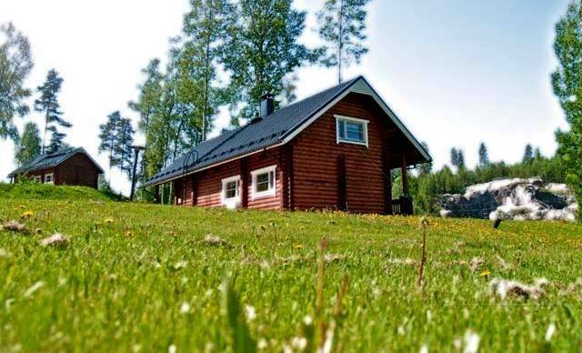 Location de vacances pour 9 personnes, animaux acceptés à Espoo - 4