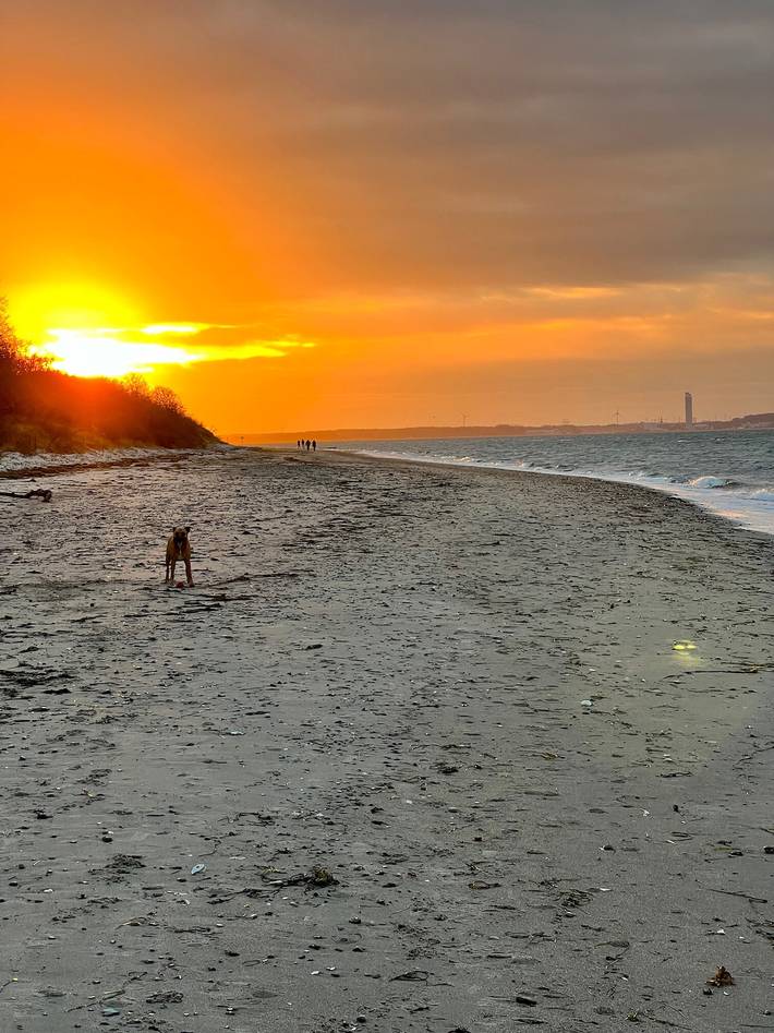 Ferienhaus für 8 Personen, mit Sauna und Garten, mit Haustier im Klützer Winkel