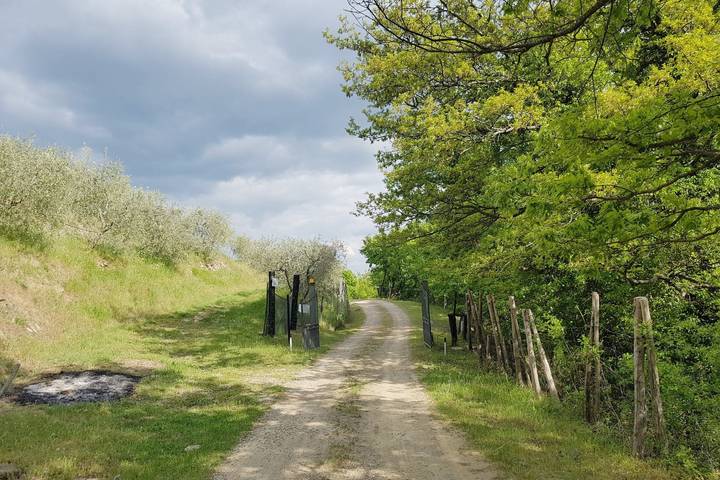 Location de vacances pour 10 personnes, avec jardin et piscine à Loro Ciuffenna - 3
