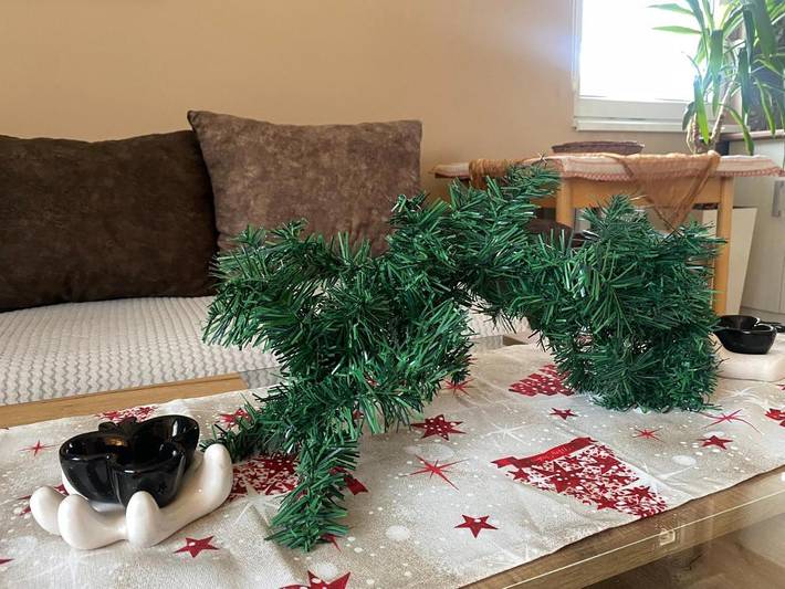 Gîte pour 4 personnes, avec vue à Novi Sad - 2