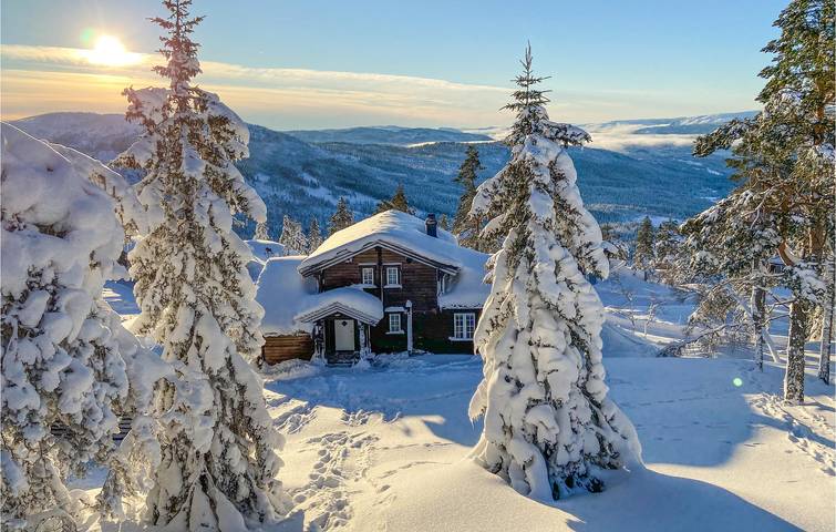 Ferienhaus für 9 Personen mit Terrasse in Nissedal