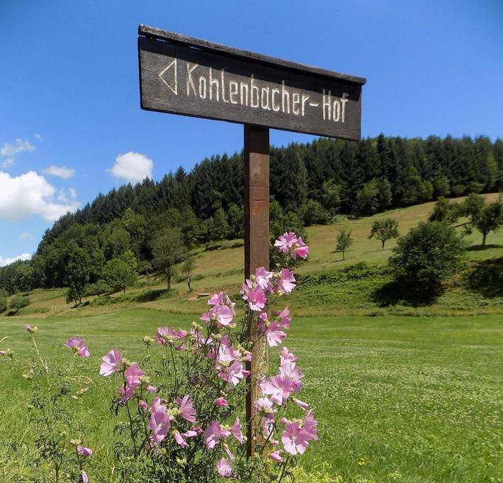 Hôtel, avec Terrasse ainsi que Jardin et Vue à Waldkirch