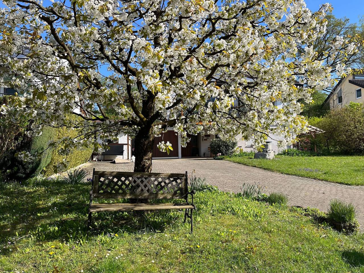 Ganze Wohnung, Am Kirschbaum in Uhldingen-Mühlhofen, Region Bodensee-Oberschwaben