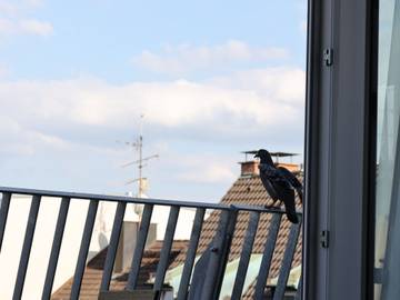 Apartment for 2 People in Munich Ludwigsvorstadt, Munich, Photo 4