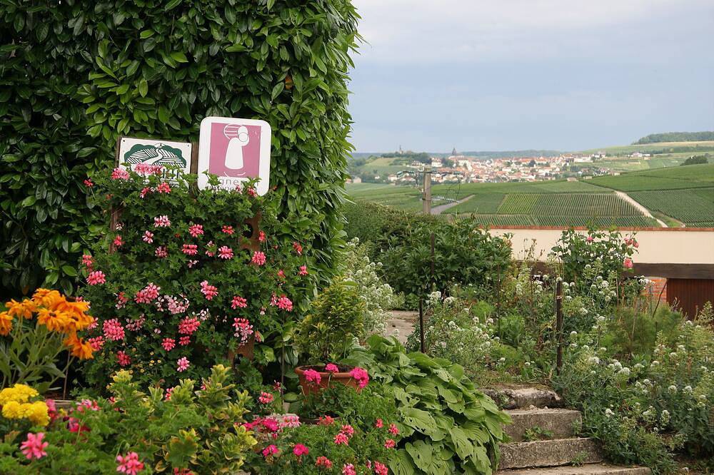 Appartement entier, Gîte \"Pinots\" au cœur du vignoble en Champagne in Cœur-de-la-Vallée, Parc naturel régional de la Montagne de Reims