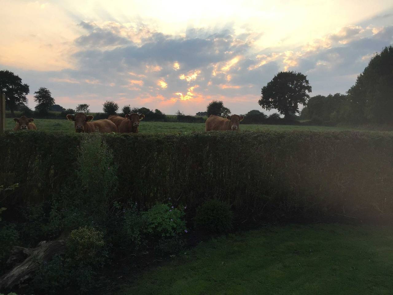 Ganze Ferienwohnung, Ferienhaus Karin - Ferienhaus in Erfde, Eider-Treene-Sorge