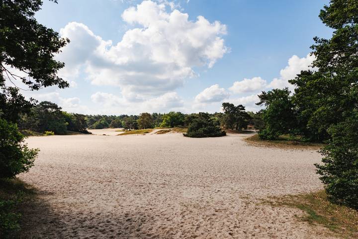 Ferienhaus für 8 Personen mit Garten in Soest, Kreis Soest
