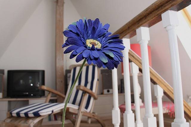 Ferienhaus für 4 Personen in Cuxhaven (Stadt) - 3