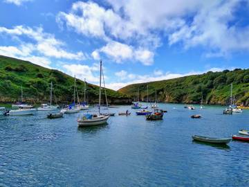 Cottage for 2 People in Solva, Pembrokeshire, Photo 4