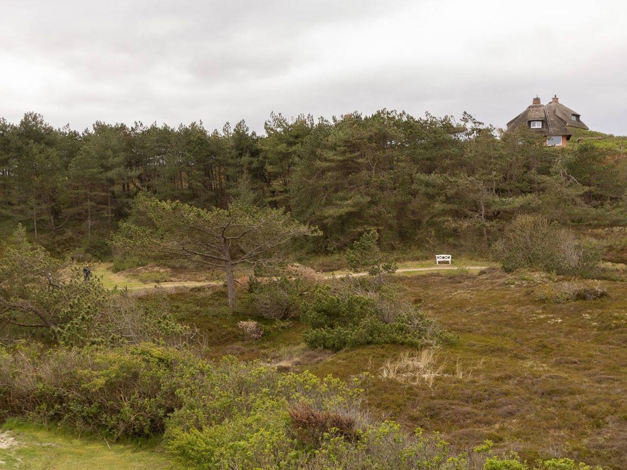 Ganze Ferienwohnung, Dünenruhe in Hörnum, Sylt