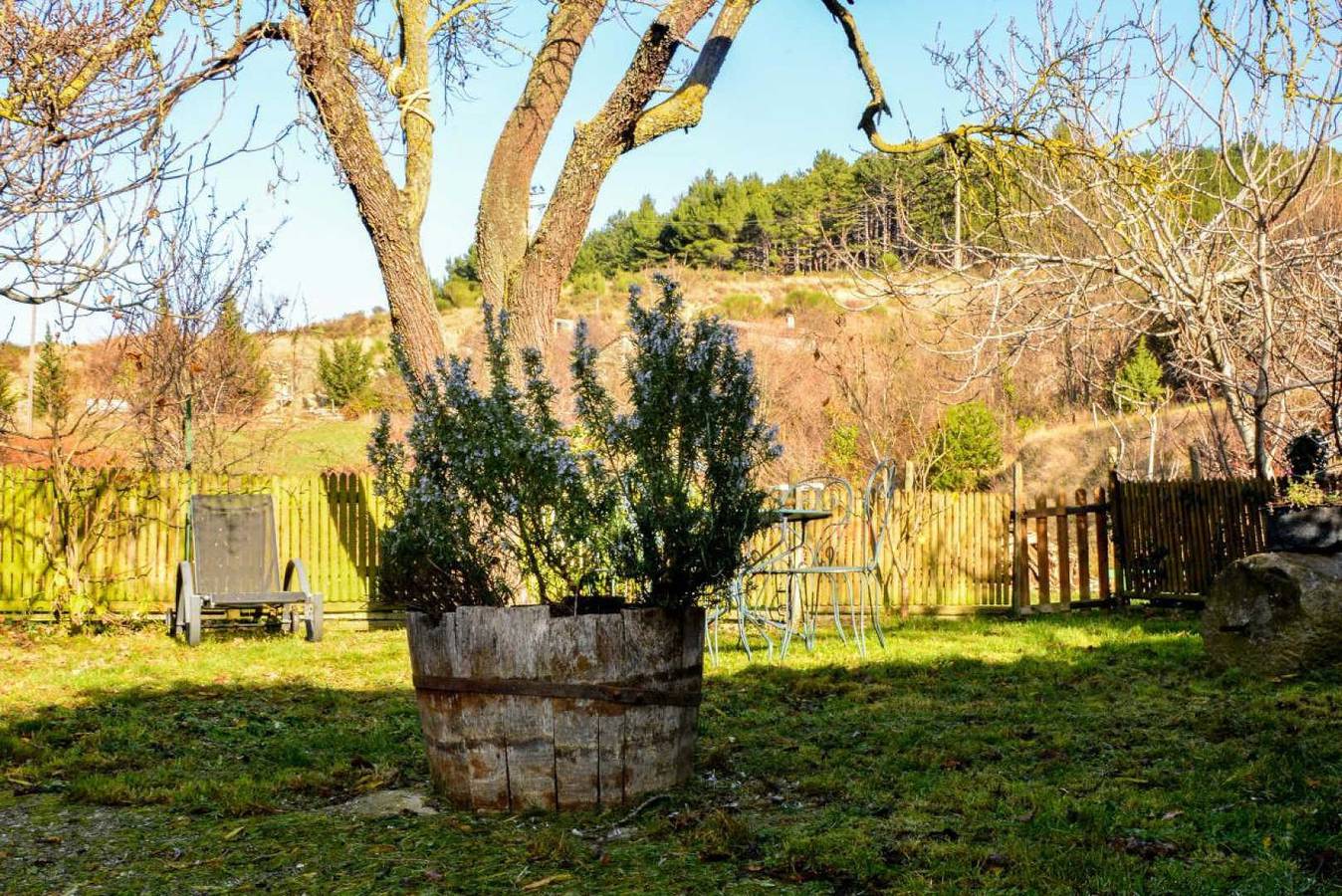 L'Amandier in Greffeil, Région de Limoux