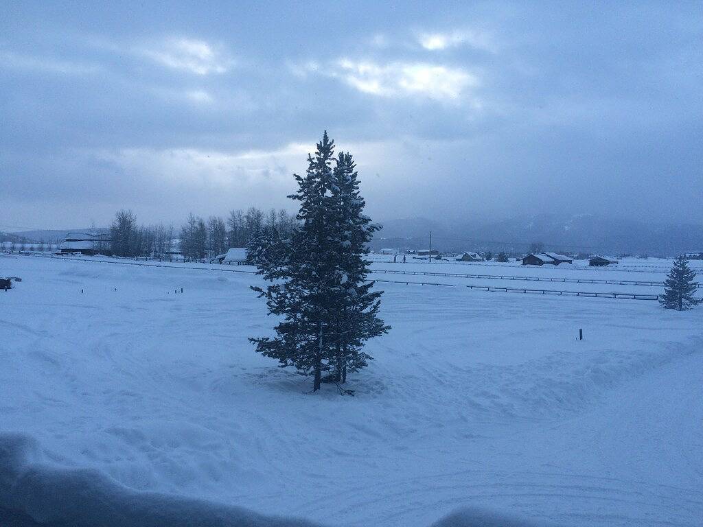 Schöner Familien-Ferien-Punkt in den Bergen in Alpine Northeast, Grand Teton Nationalpark