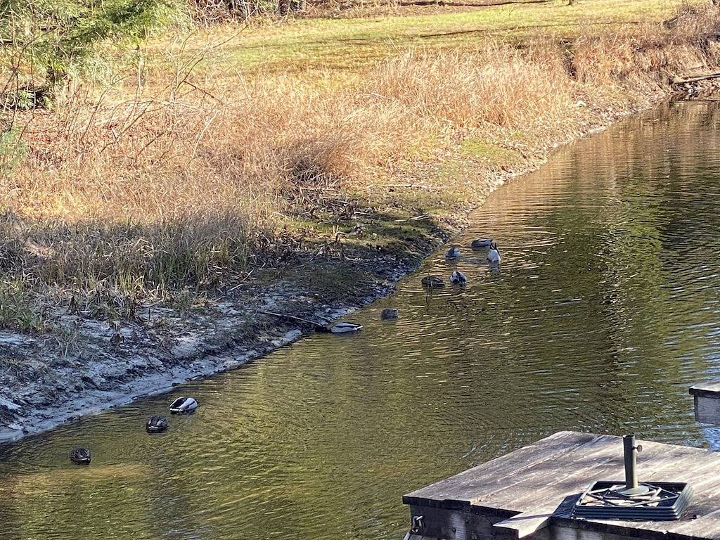 Direct Water Access to Lake! w/ Boat Dock, Heat, Ac, Tv & Internet, Sleeps 6 in Moultonborough, Lake Winnipesaukee