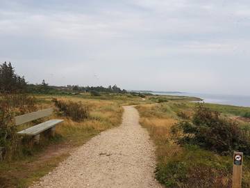 Ferienhaus für 6 Personen in Hemmet, Dänemark an der Nordsee, Bild 3