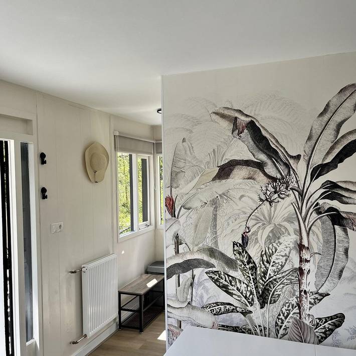 Ferienhaus für 4 Personen, mit Balkon/Terrasse und Terrasse in Zoutelande - 2