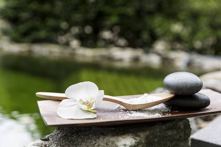 Hotel for 15 people, with sauna and hot tub as well as garden in Austria