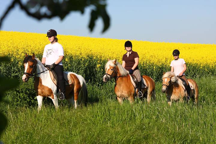 Bauernhof für 3 Personen, mit Terrasse und Pool sowie Garten, mit Haustier im Taubertal - 2