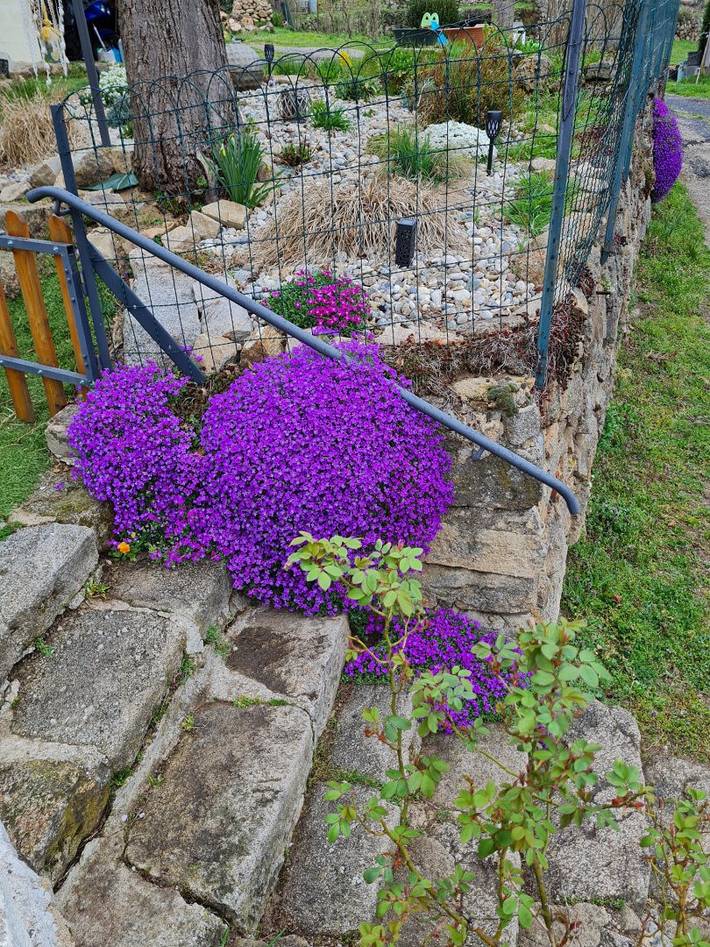 Gîte pour 9 personnes, avec terrasse et jardin à Bourg-Argental - 4