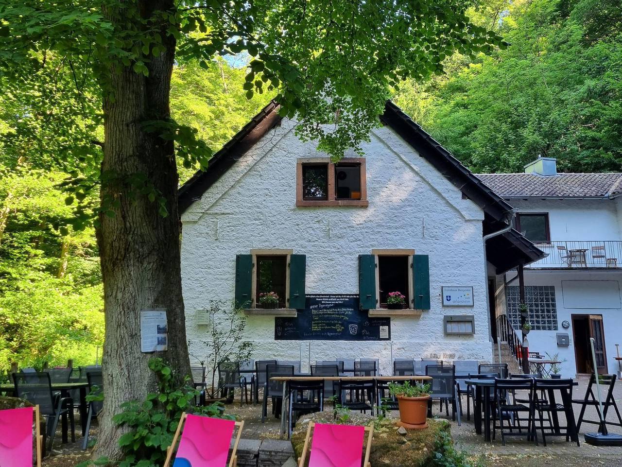 Ganze Ferienwohnung, Charlottes Waldresidenz - Charlottes Waldresidenz in Deidesheim, Deutsche Weinstraße